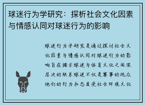 球迷行为学研究：探析社会文化因素与情感认同对球迷行为的影响